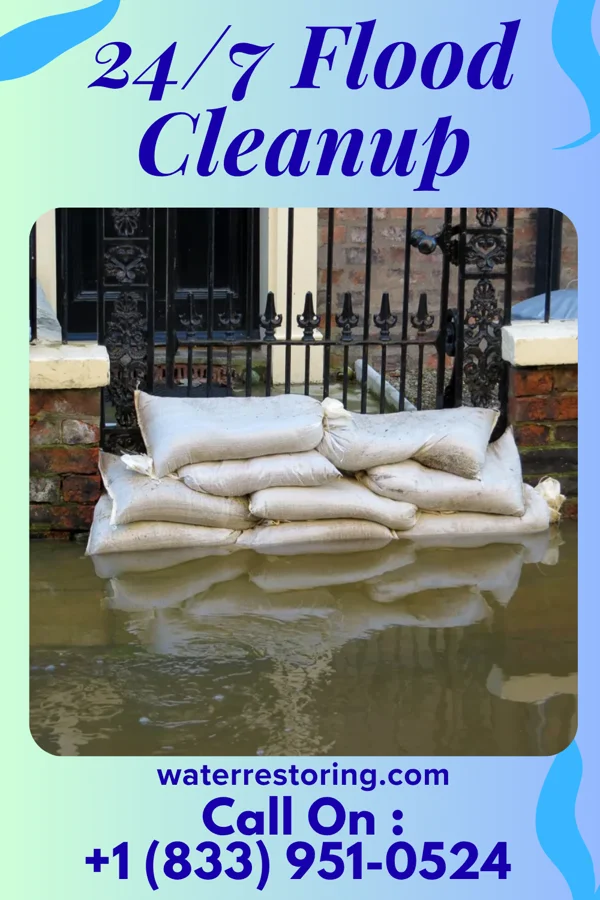 24/7 Flood Cleanup in Centerville, NC
